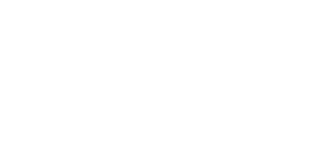 Leeza Braun New York